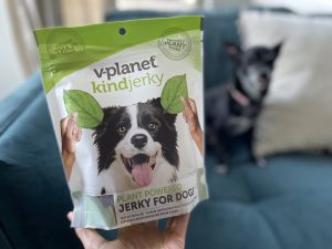 International plant-based dog food company introduces kindjerky in America