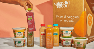 variety of splendid spoon products