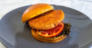 The ISH™ Company Launches Salmonish™ Burgers