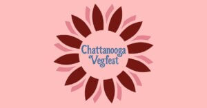 Chattanooga Vegfest, Between the Bridges Festival, and 7 Bridges Marathon - One Incredible Weekend!