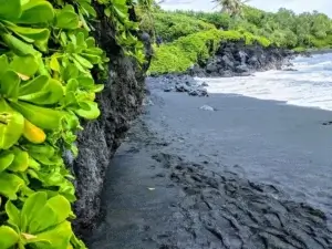 Vegan Travel Company, Veggies Abroad Champions Travel as a Vehicle for Change