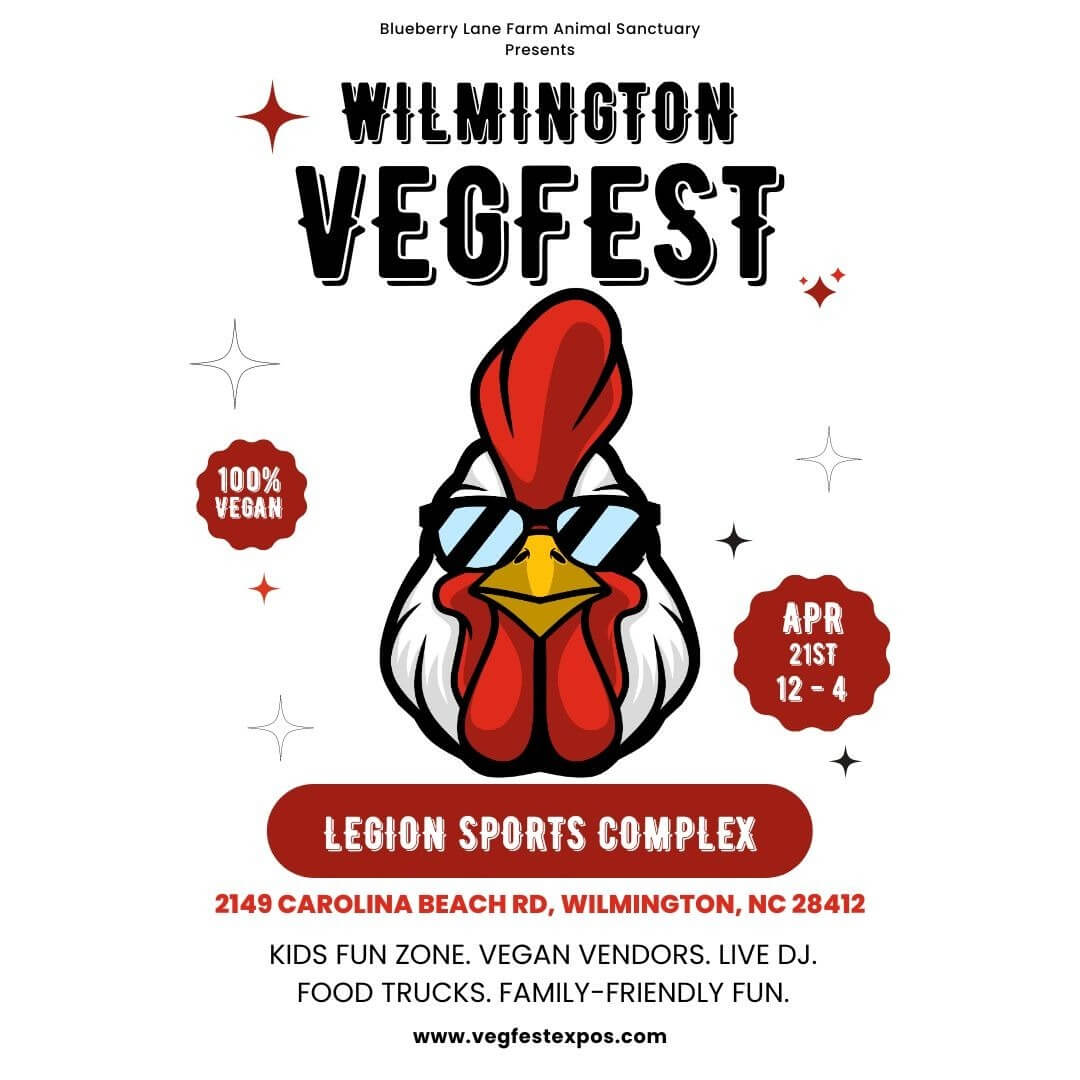 Wilmington Vegfest is Back at Legion Sports Complex