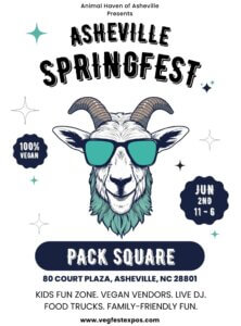 Asheville Springfest